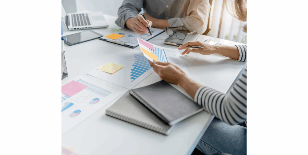 Web development process