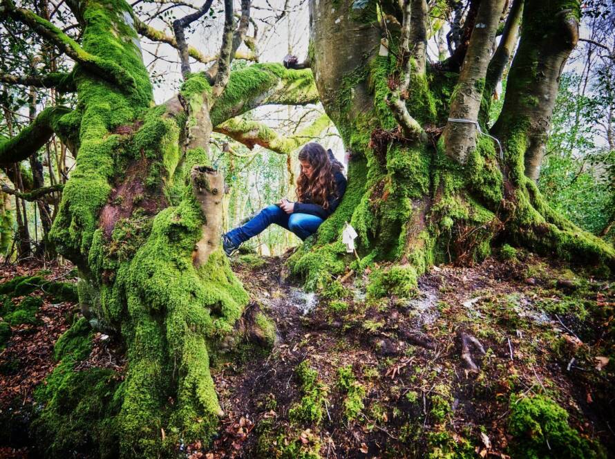 RETREAT DLA KOBIET w Slieve Aughty Centre (Co. Galway)