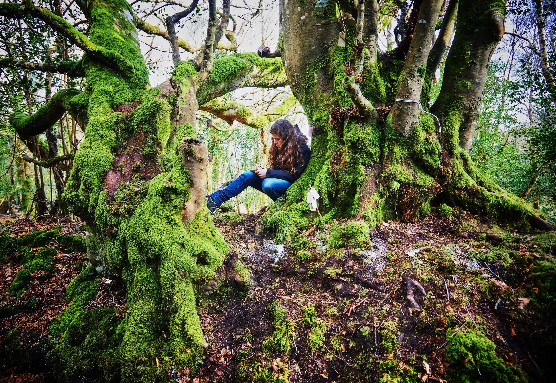 RETREAT DLA KOBIET w Slieve Aughty Centre (Co. Galway)